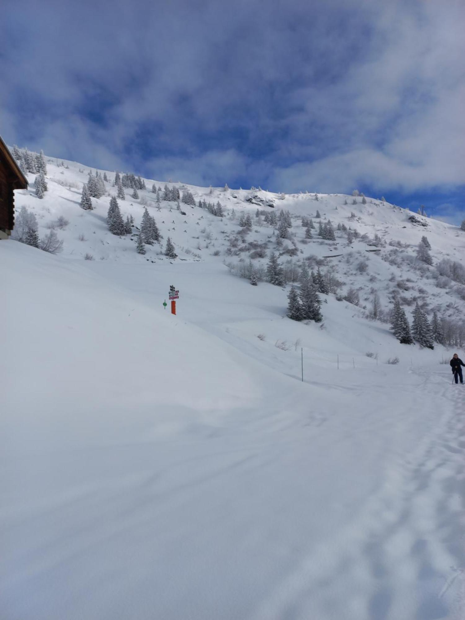 Le Nid Douillet Du Belvedere Montvalezan Buitenkant foto